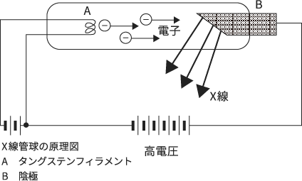回路